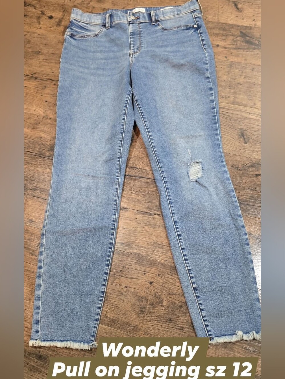 Wonderly Light Blue Distressed Skinny Jeggings